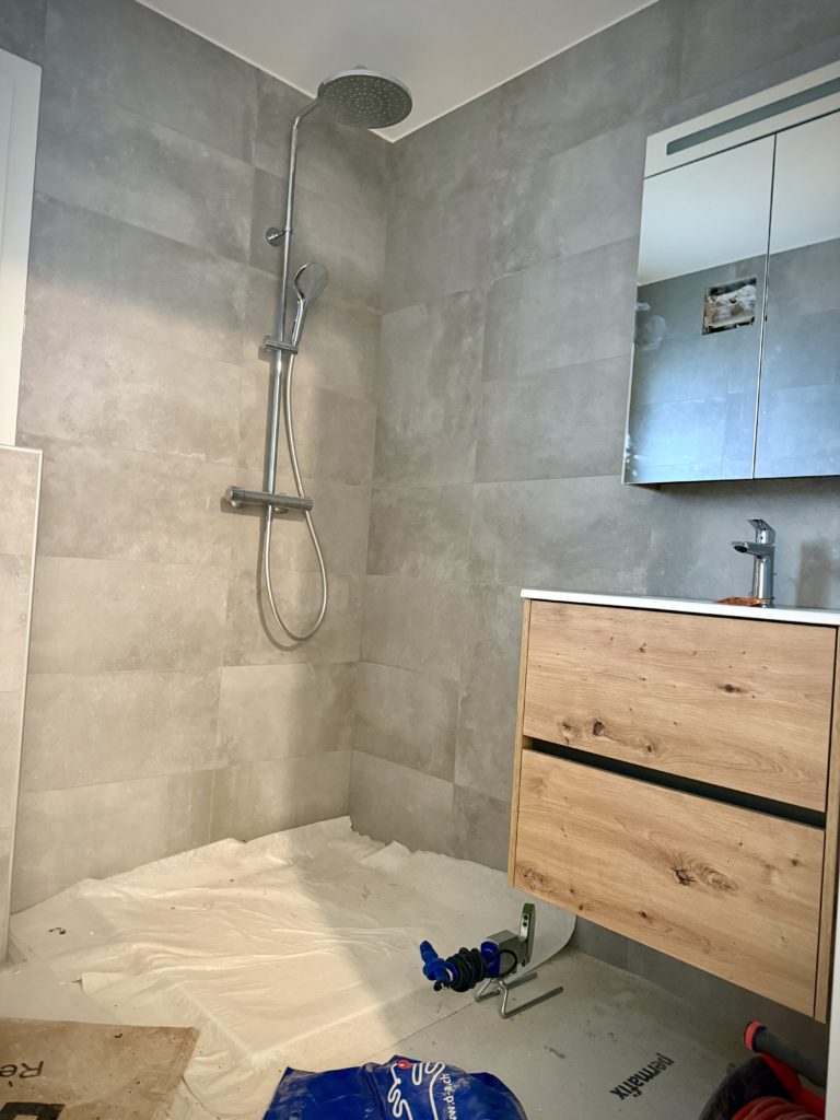 Studio for Rent in Chavannes-près-Renens shower
